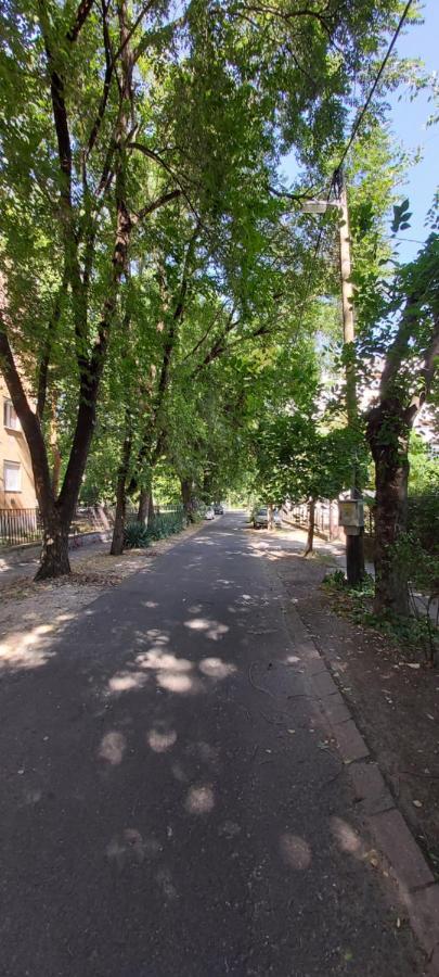 Gabrielle2 Apartman Debrecen Eksteriør billede